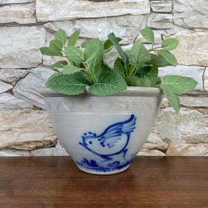 May include: A white ceramic planter with a blue bird design. The planter is filled with green leafy plants.