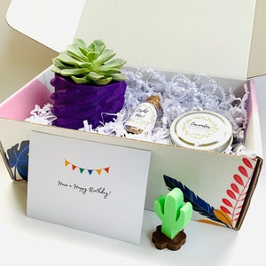 Pode incluir: Uma caixa de presente com uma suculenta em um vaso roxo, uma garrafa pequena com o texto "Light Me!", uma lata de produto com aroma de lavanda, um item em forma de cacto e um cartão de aniversário com o texto "Have a Happy Birthday!"