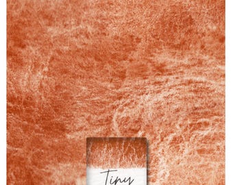 May include: A close-up of a small, square, orange-brown watercolour paint pan. The pan is labelled "Tiny Lunar Earth".
