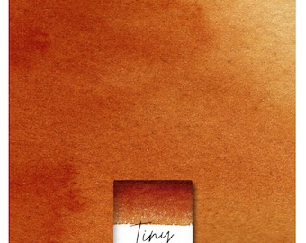 May include: A watercolour paint sample in a small pan, showing a gradient of burnt orange hues. The label reads "Tiny Quinacridone Burnt Orange Hue."