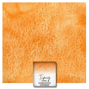 Op de afbeelding: Een aquarelverloop in een levendige oranje kleur. De kleur is een licht oranje met een verloop naar een donkerder oranje. De tekst "Tiny Hokkaido Orange" is gedrukt op een wit label.
