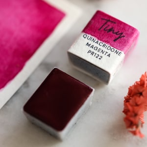 Pu&ograve; includere: Due pastiglie di acquerello, una aperta e una chiusa. La pastiglia aperta &egrave; di colore magenta vibrante e la pastiglia chiusa &egrave; di colore bordeaux scuro. La pastiglia chiusa ha il testo "Tiny Quinacridone Magenta PR122" sull'etichetta.