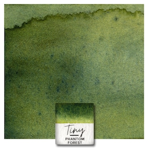 Op de afbeelding: Een vierkant aquarelverf napje met het label Tiny PHANTOM FOREST, een witte basis en een donkergroene bovenkant. Het verfstalen boven het napje toont een getextureerde, gradiënt wassing van diepe olijf- en bosgroene tinten met pigmentatie.