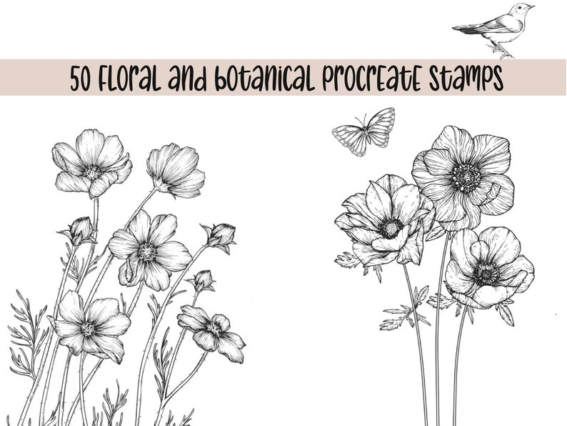Procreate Flower Stamps | Floral Procreate | Procreate Botanical ...