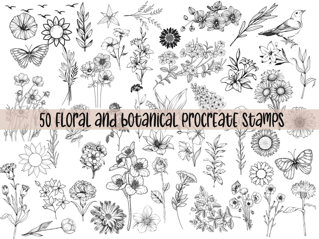Procreate Flower Stamps | Floral Procreate | Procreate Botanical ...