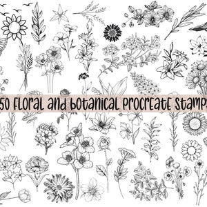 Procreate Blumenstempel | Blumen Procreate | Procreate Botanische | Blumen Stempel | Pocreate Blume Stempel | Procreate Blumen Pinselset