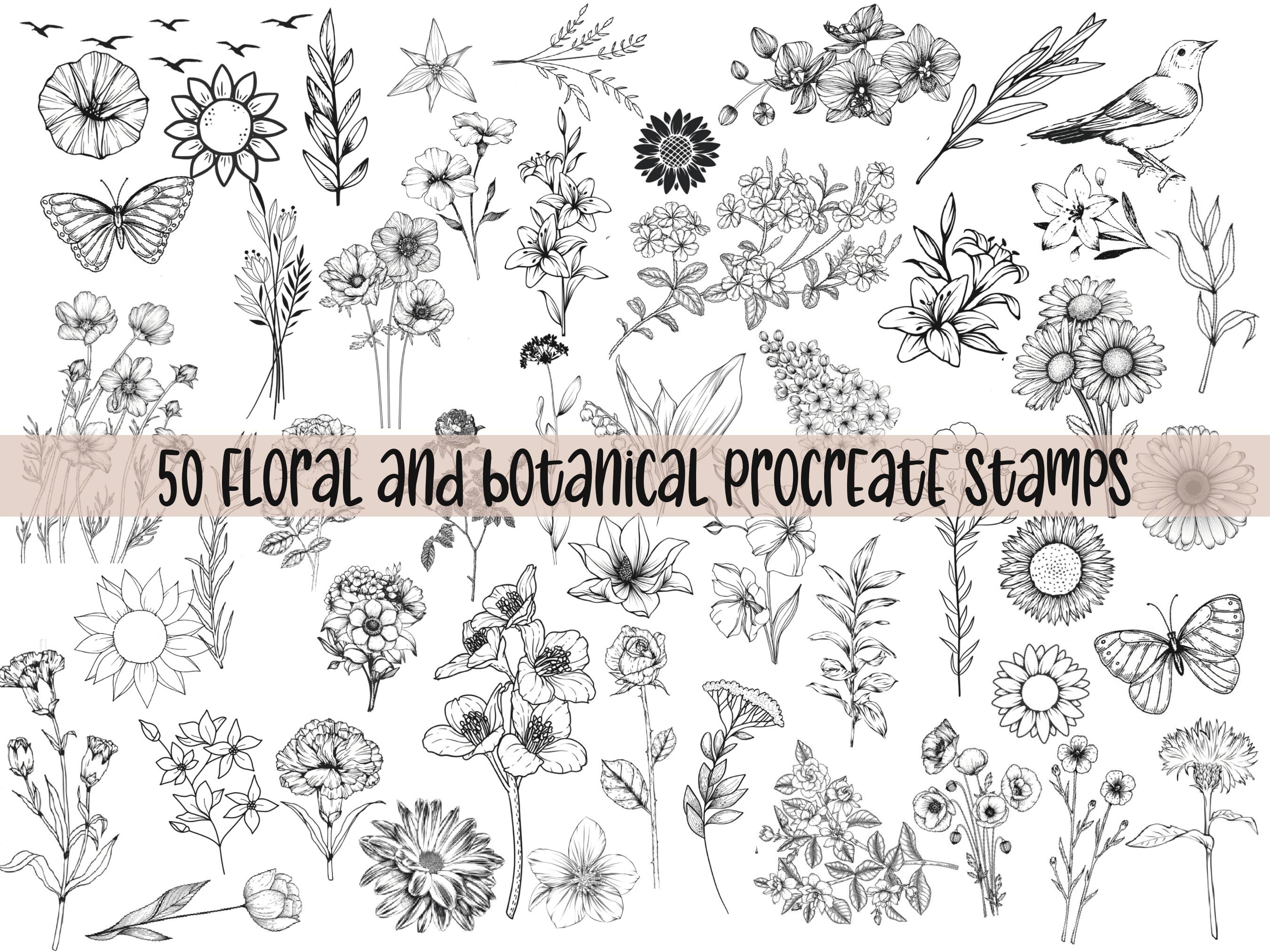 Procreate Flower Stamps | Floral Procreate | Procreate Botanical ...
