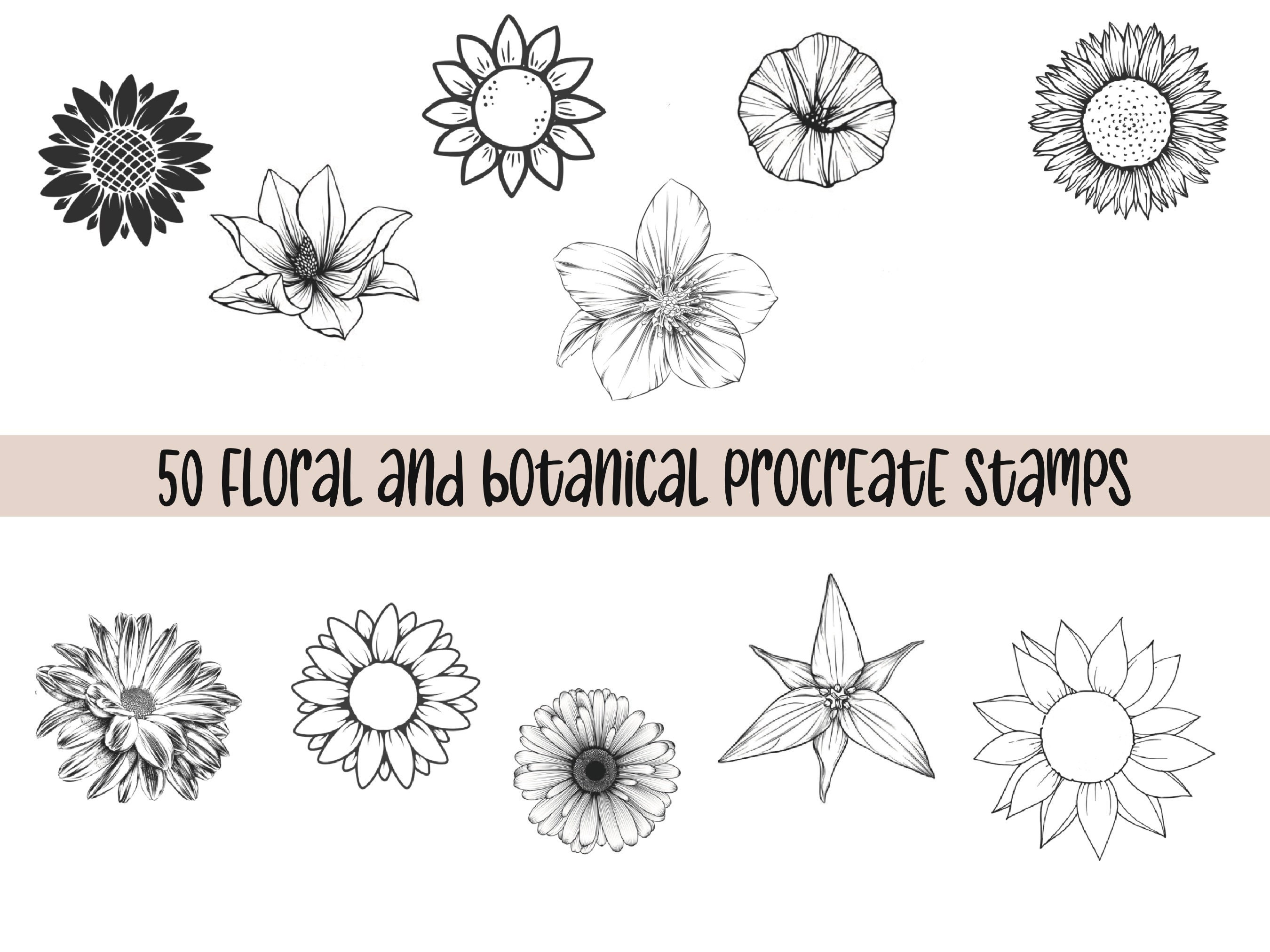 Procreate Flower Stamps | Floral Procreate | Procreate Botanical ...