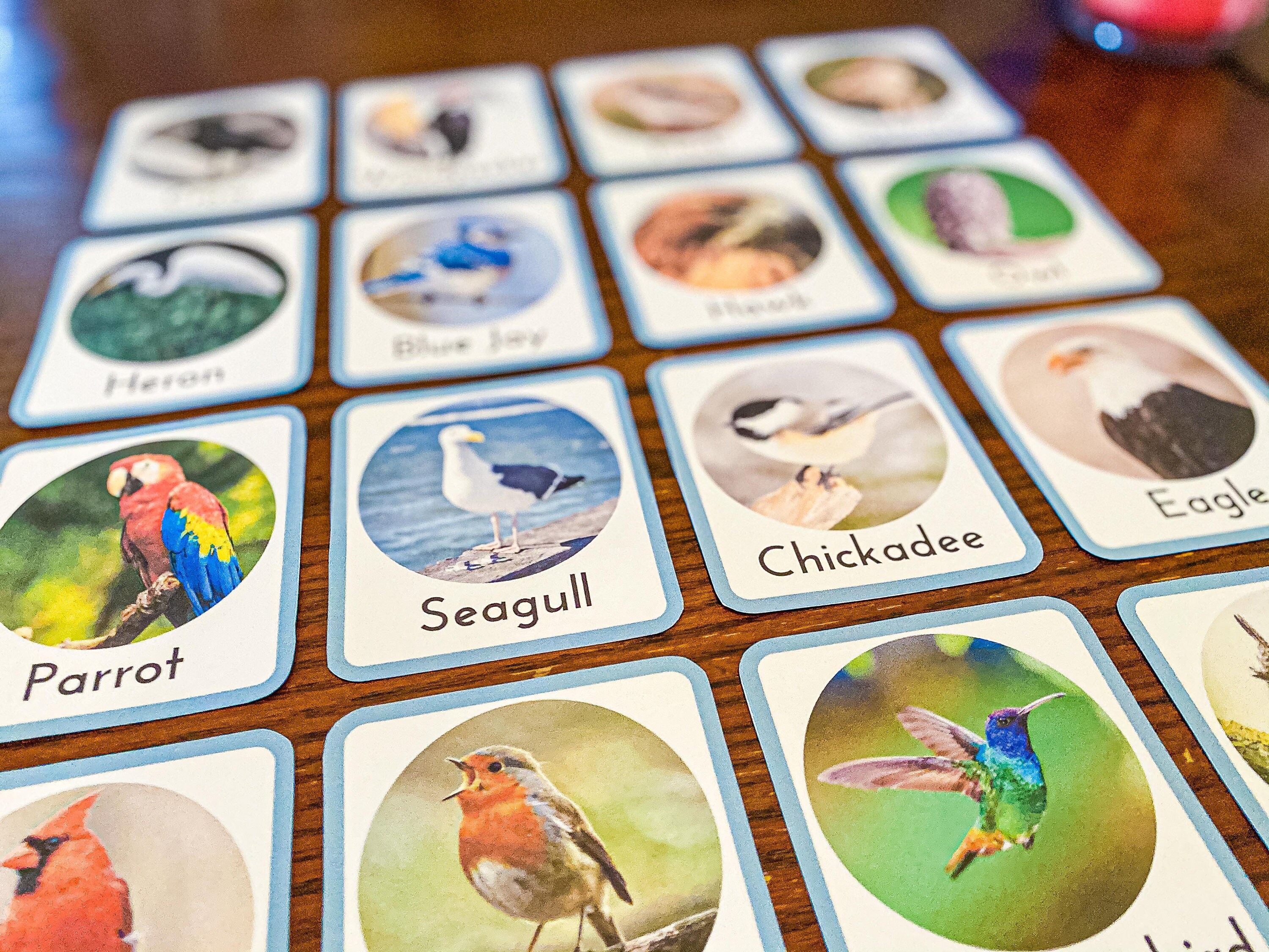 Realistic Montessori Bird Flashcards for Toddlers and Etsy