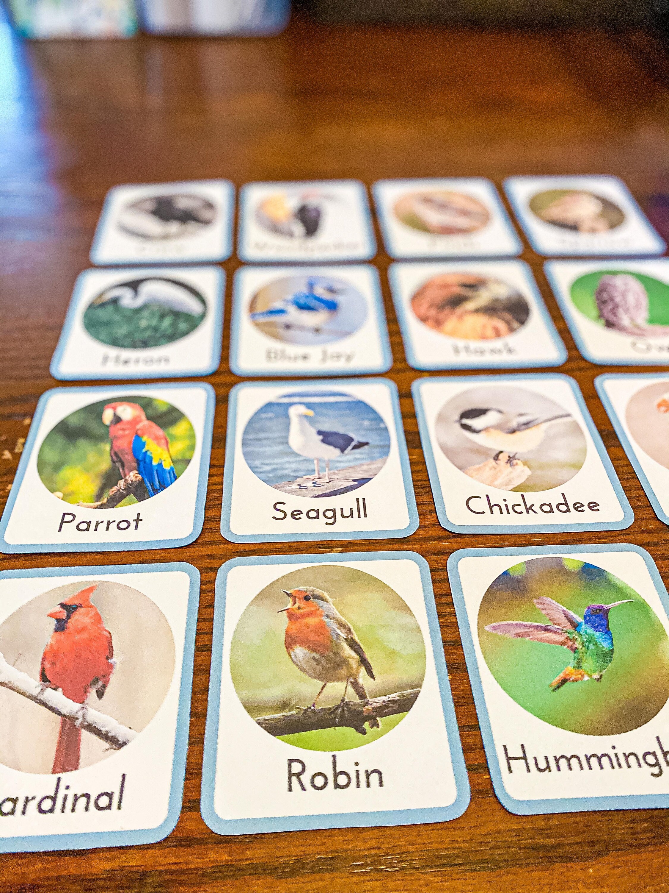 Realistic Montessori Bird Flashcards for Toddlers and Etsy
