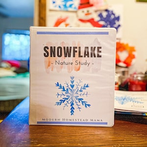 Snowflake Nature Study | Homeschool Mini Unit Study for Pre-K Kindergarten and Elementary Kids | Winter Mini Nature Unit Worksheet Set