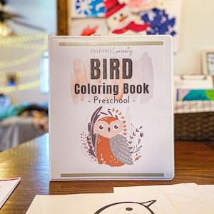 Bird Coloring Book for Preschoolers | Homeschool Preschool Bird Theme Printable for Toddlers and Pre-K