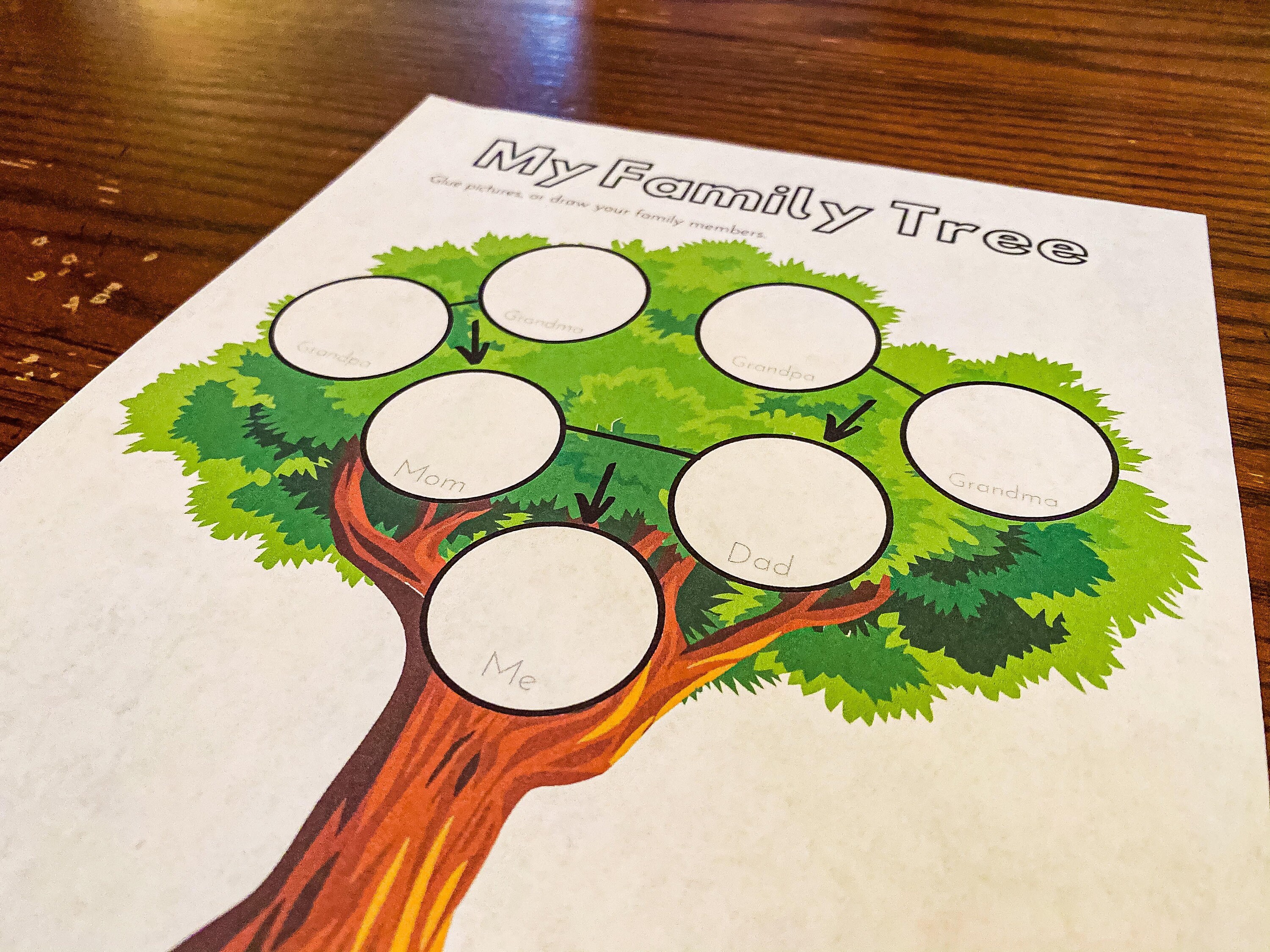 Families Preschool Unit Families Preschool Theme Homeschool | Etsy