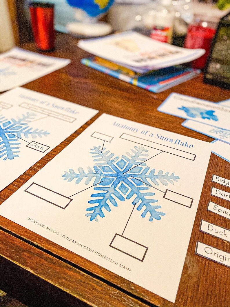 Anatomy of a Snowflake | Mini Snowflake Winter Homeschool Study for Pre ...