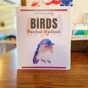 Bird Pre-K Workbook | Homeschool Printable Bundle Pack of Bird Worksheets Montessori-Inspired for Preschoolers