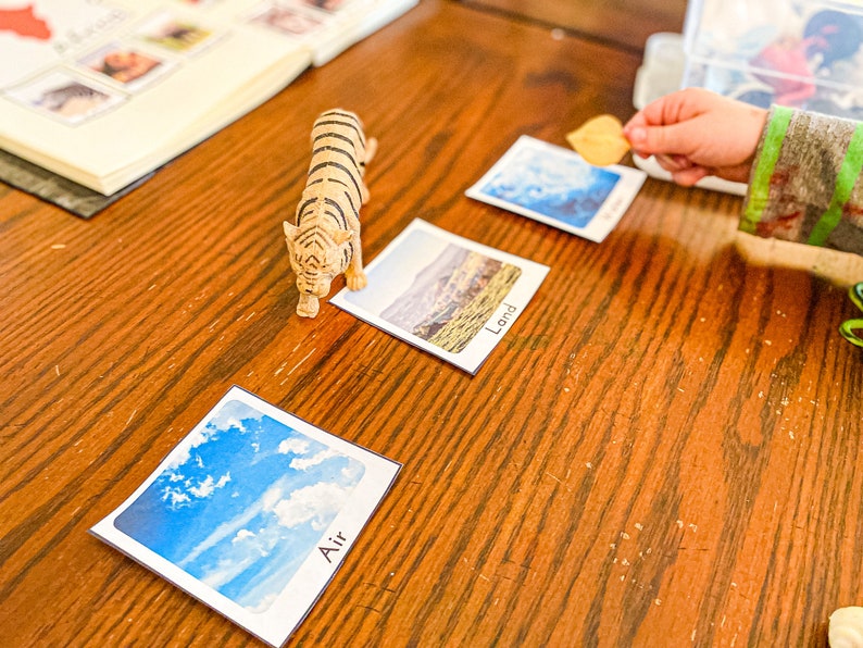 World Geography Unit for Homeschool Prek & Kindergarten Etsy