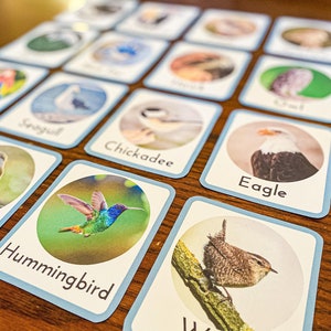 Realistic Montessori Bird Flashcards for Toddlers and Preschoolers | Homeschool Bird Study Unit for Young Kids Printable Flashcards