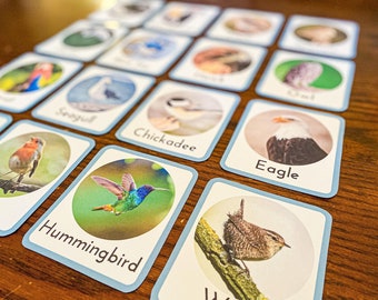 Realistic Montessori Bird Flashcards for Toddlers and Preschoolers | Homeschool Bird Study Unit for Young Kids Printable Flashcards