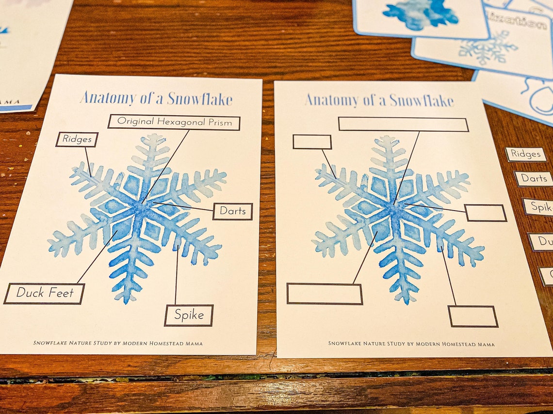 Anatomy of a Snowflake | Mini Snowflake Winter Homeschool Study for Pre ...