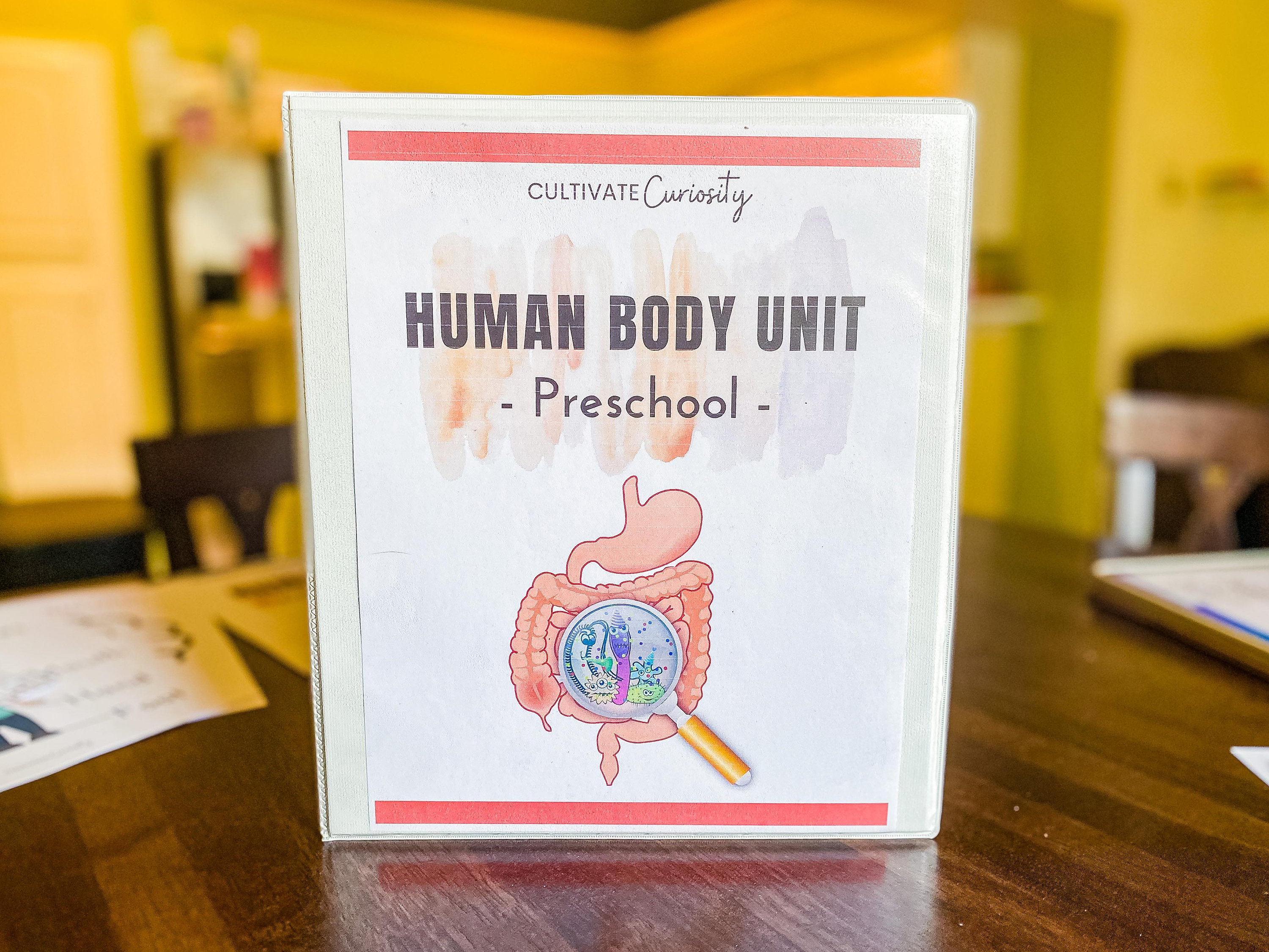 Human Body Preschool Unit | Montessori & Waldorf Inspired, Play-Based, Gentle Curriculum and Workbook for Pre-K