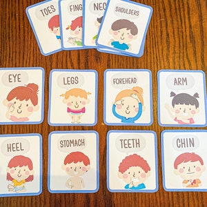 Body Part Flashcards | Printable Flashcards To Teach Preschoolers About the Human Body | Homeschool Preschool Curriculum Materials