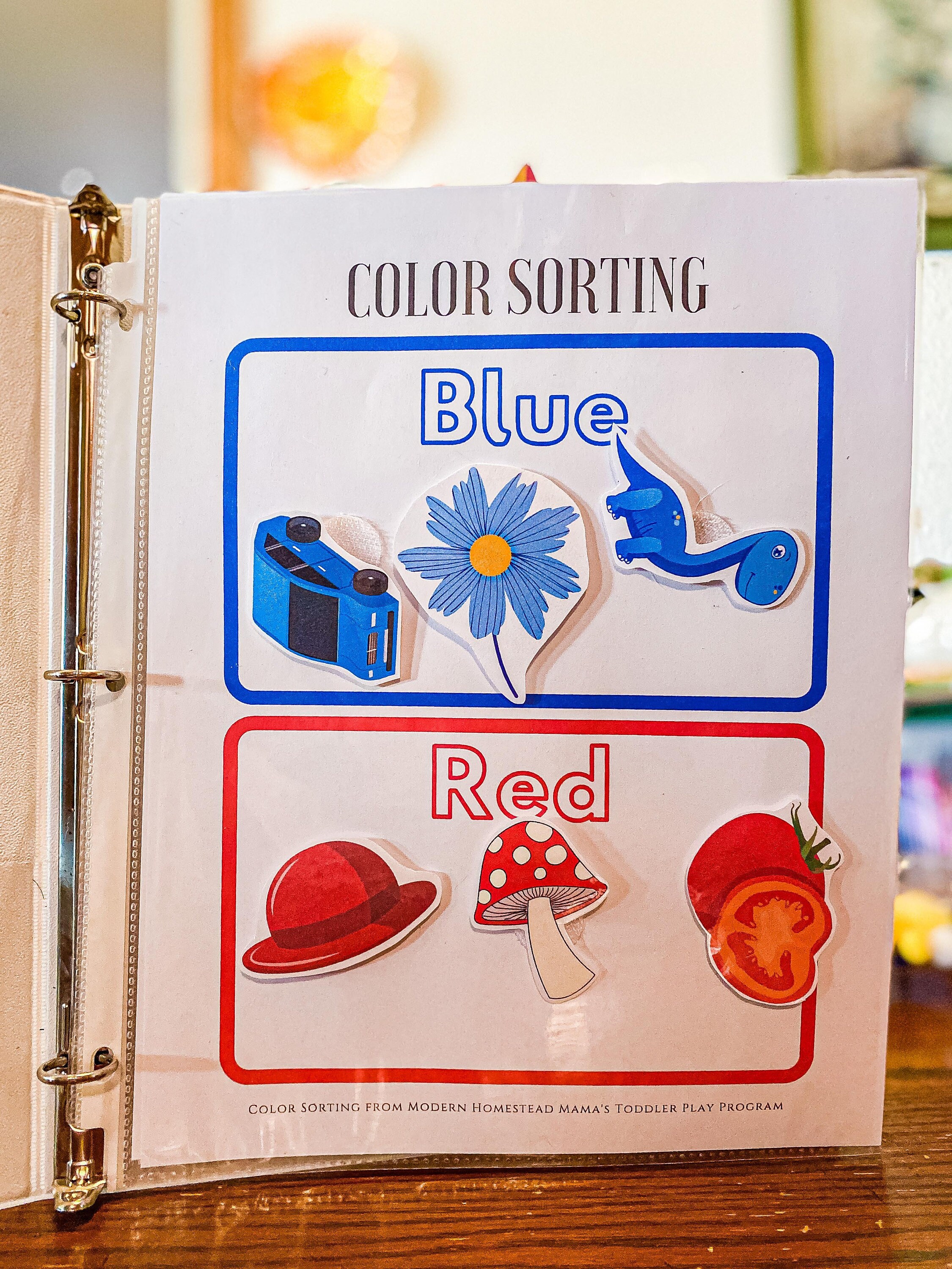 Color Sorting Worksheet Set for Toddlers Printable Printable | Etsy
