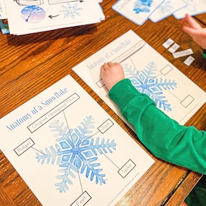 Anatomy of a Snowflake | Mini Snowflake Winter Homeschool Study for Pre ...
