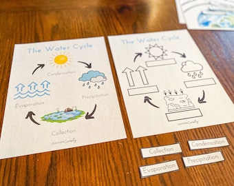 buy science worksheets online in india etsy india