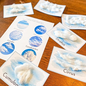 Tarjetas tipo nube de bola de algodón / Tarjetas imprimibles de nubes meteorológicas científicas en el hogar para la educación de niños de preescolar, primaria y secundaria