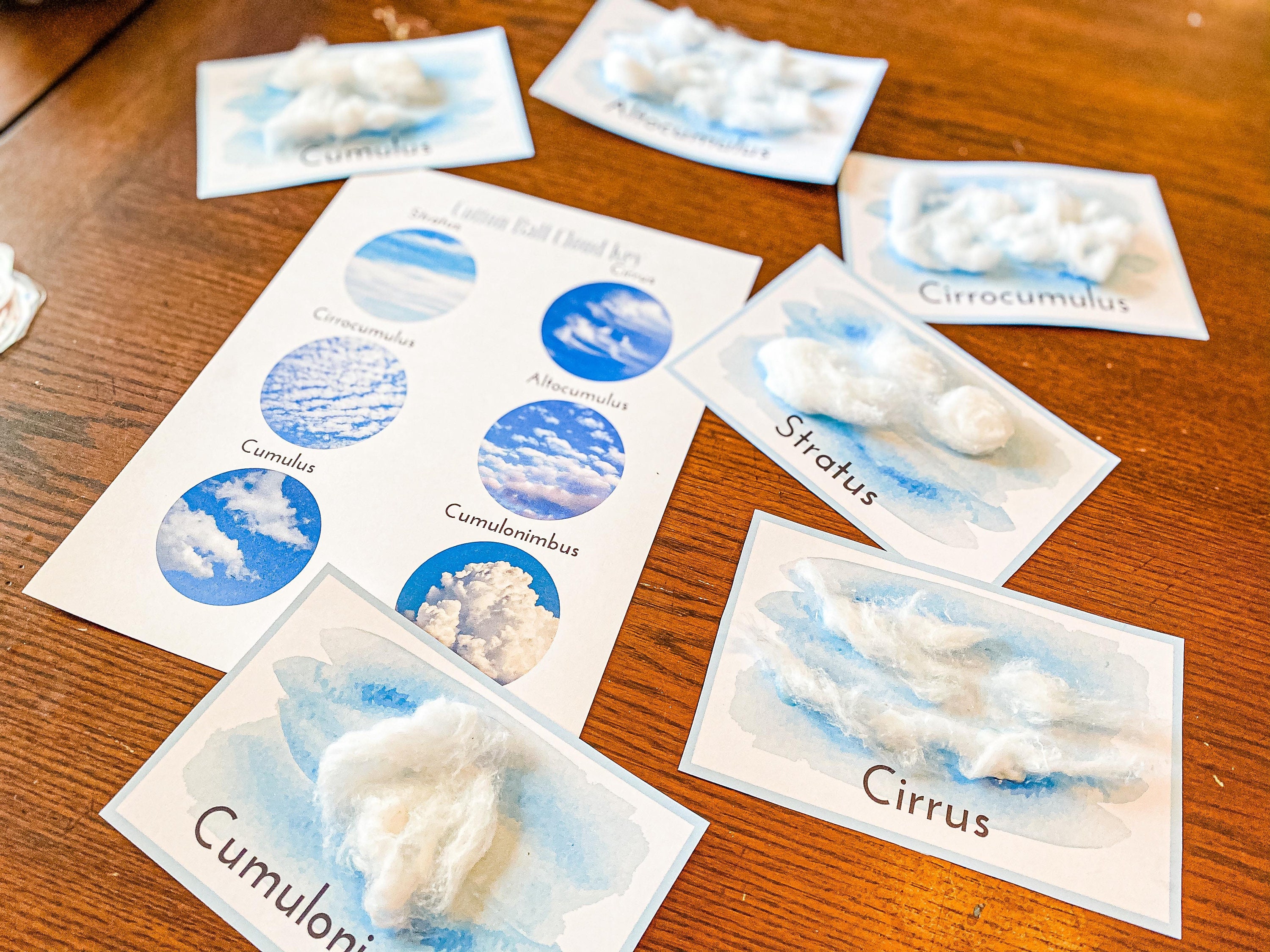 Cotton Ball Cloud Type Cards Homeschool Science Weather Etsy