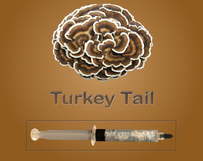 Turkey Tail Mushroom Liquid Culture