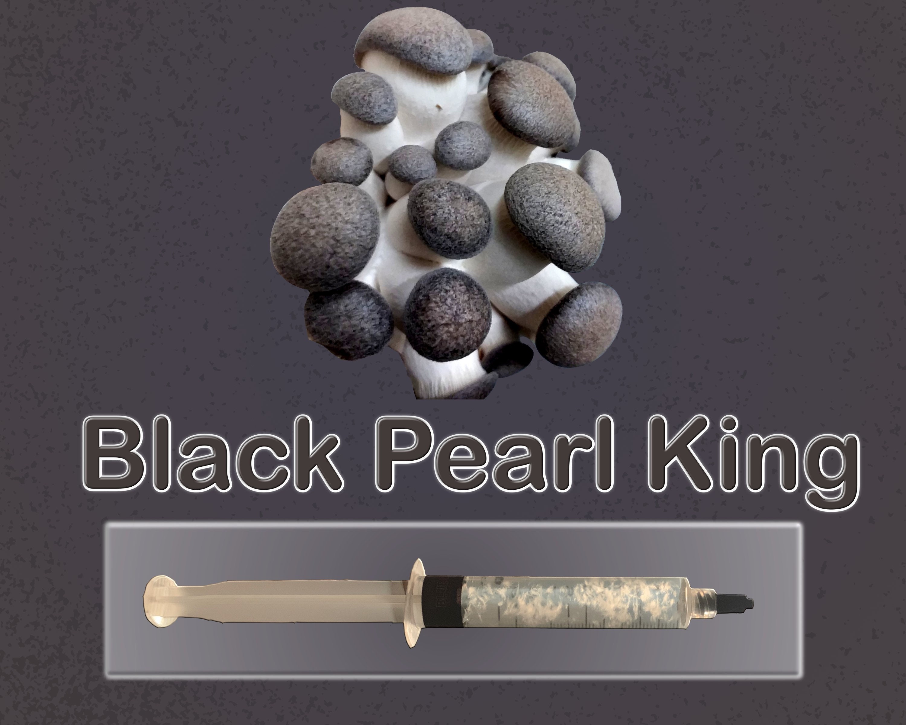 Black Pearl King Oyster Mushroom Liquid Culture