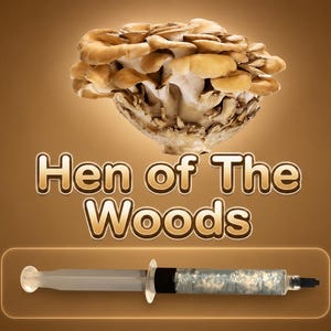 Maitake Hen of the Woods Liquid Culture Syringe, 10ml - Grifola frondosa