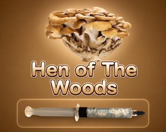 Hen of the Woods Maitake Liquid Culture Syringe 10ml (Grifola frondosa), Live Gourmet & Medicinal Mycelium Grow Kit, Beginner Friendly