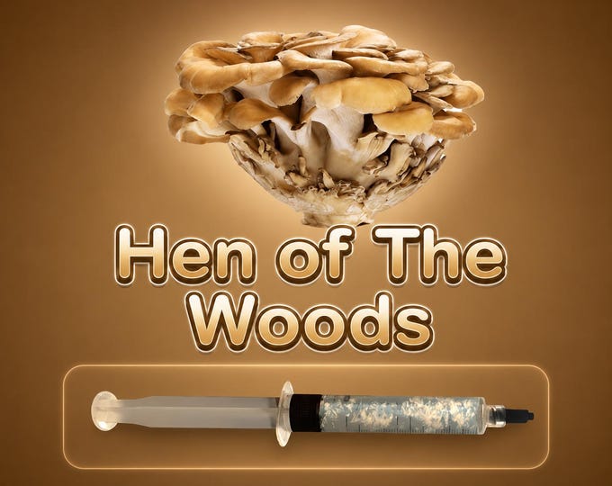 Hen of the Woods Maitake Liquid Culture Syringe 10ml (Grifola frondosa), Live Gourmet & Medicinal Mycelium Grow Kit, Beginner Friendly