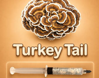 Turkey Tail Liquid Culture Syringe 10ml (Trametes versicolor), Live Medicinal Mushroom Mycelium for Grow Kits, Beginner Friendly