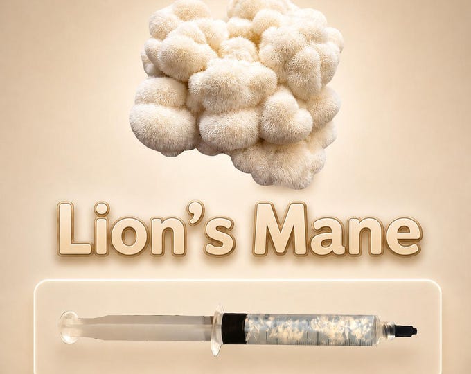 Lions Mane Liquid Culture Syringe 10ml (Hericium Erinaceus), Live Mycelium for Gourmet & Medicinal Mushroom Grow Kits, Beginner Friendly
