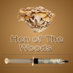Hen of The Woods Mushroom Liquid Culture