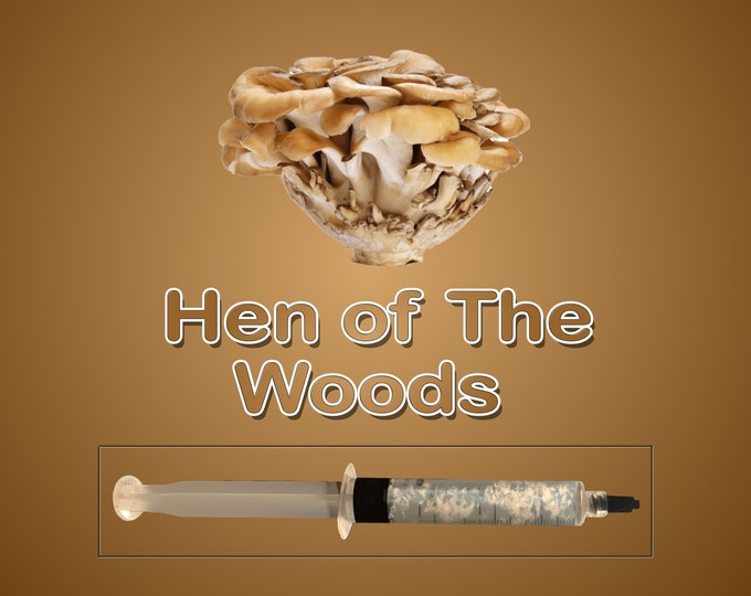 Hen of The Woods Mushroom Liquid Culture