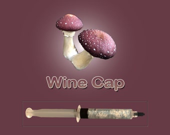 Wine Cap Mushroom Liquid Culture