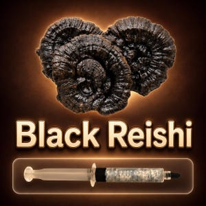 Black Reishi Liquid Culture Syringe 10ml (Ganoderma), Live Medicinal Mushroom Mycelium for Grow Kits, Beginner Friendly Cultivation