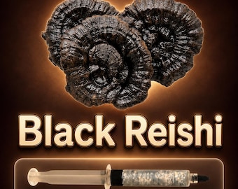 Black Reishi Liquid Culture Syringe 10ml (Ganoderma), Live Medicinal Mushroom Mycelium for Grow Kits, Beginner Friendly Cultivation
