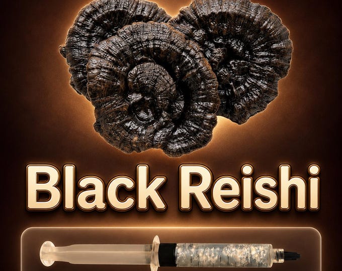 Black Reishi Liquid Culture Syringe 10ml (Ganoderma), Live Medicinal Mushroom Mycelium for Grow Kits, Beginner Friendly Cultivation