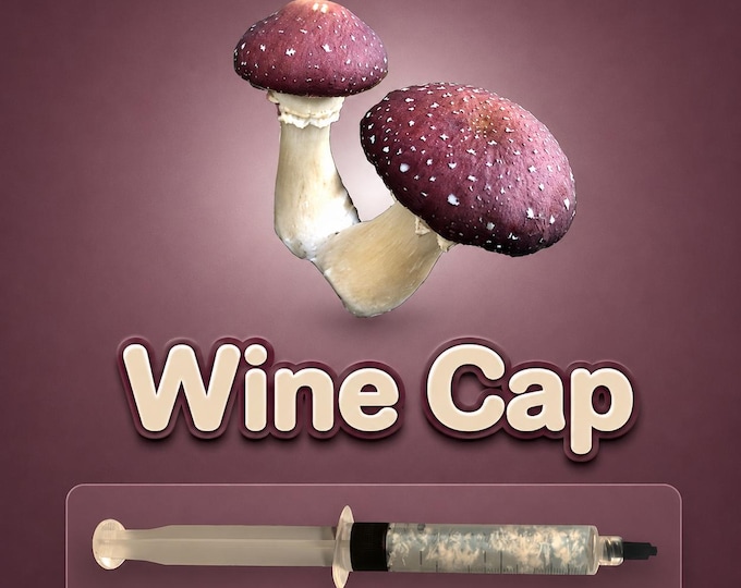 Wine Cap Mushroom Liquid Culture Syringe 10ml (Stropharia), Live Mycelium for Garden Beds & Grow Kits, Beginner Friendly Cultivation