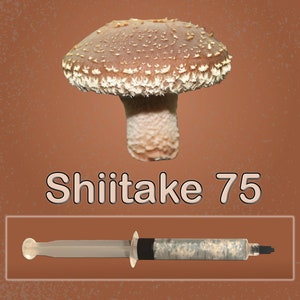May include: A brown Shiitake mushroom with a textured cap and a white stem. Below the mushroom is a syringe filled with a substance. The text "Shiitake 75" is displayed in a stylized font.