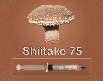 Shiitake Mushroom Liquid Culture