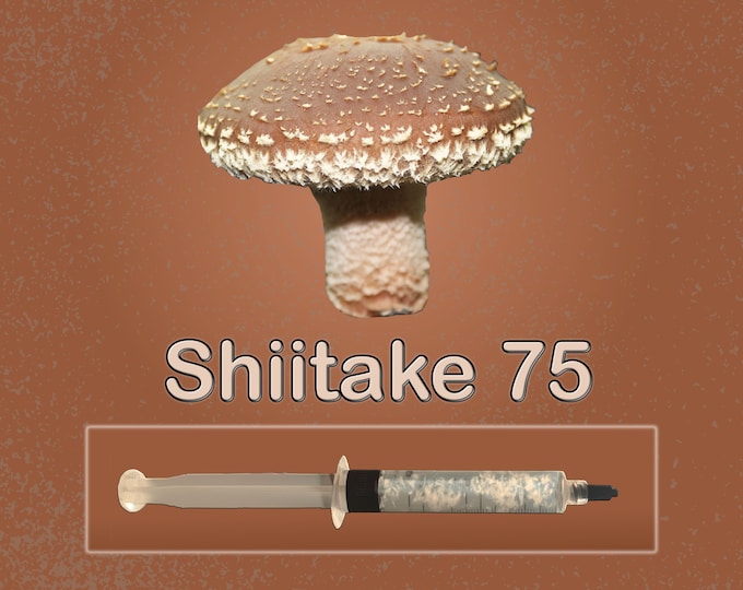 Shiitake Mushroom Liquid Culture