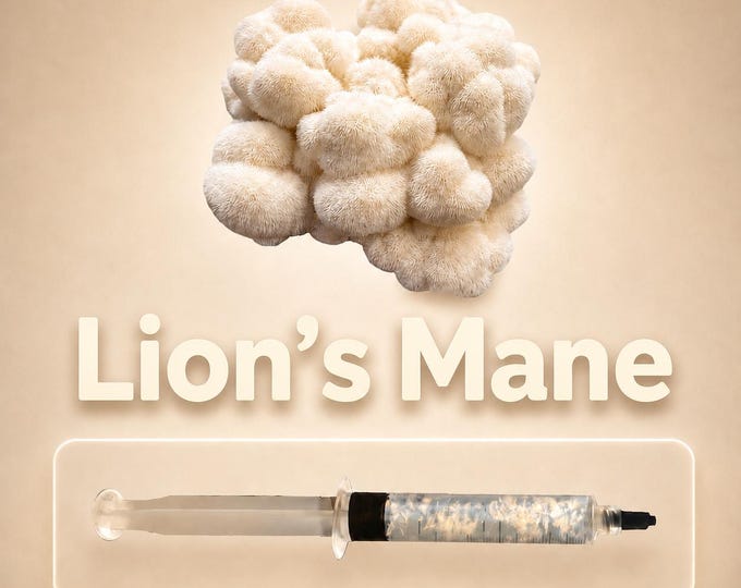 Lions Mane Liquid Culture Syringe 10ml (Hericium Erinaceus), Live Mycelium for Gourmet & Medicinal Mushroom Grow Kits, Beginner Friendly