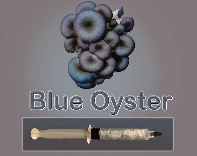 Blue Oyster Mushroom Liquid Culture