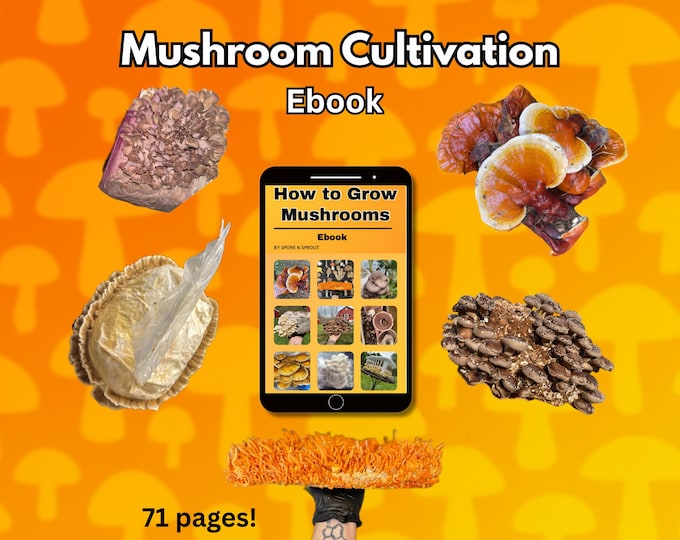 How to Grow Mushrooms at Home - Ebook - PDF Download